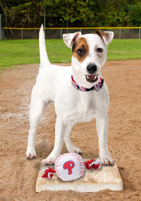 Philadelphia Phillies Nylon Baseball Rope Toy