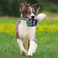 Seattle Seahawks #1 Fan Toy