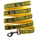 CAL-3031 - California Golden Bears - Leash