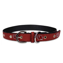 South Carolina Signature Pro Collar