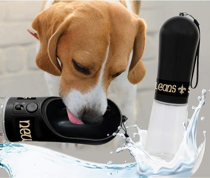 New Orleans Saints Water Bottle