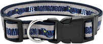 Tampa Bay Rays Collar