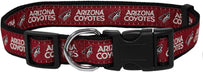 Arizona Coyotes Collar