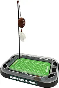 Michigan Football Cat Scratcher Toy