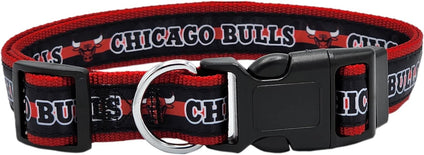 Chicago Bulls Collar