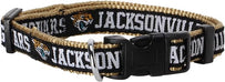 Jacksonville Jaguars Collar