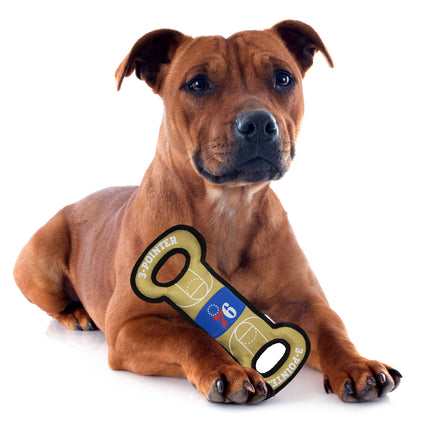 76ers Court Toy