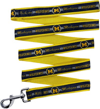 Michigan  Satin Leash