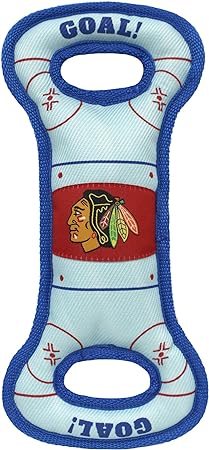 Chicago Blackhawks Hockey Rink Toy