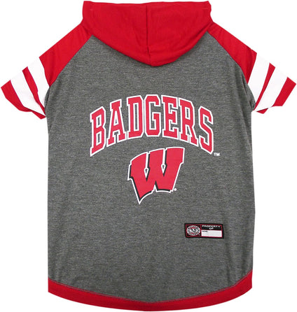 Wisconsin Hoodie Tee Shirt