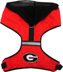 Georgia Harness