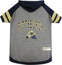 Pittsburgh Hoodie Tee Shirt