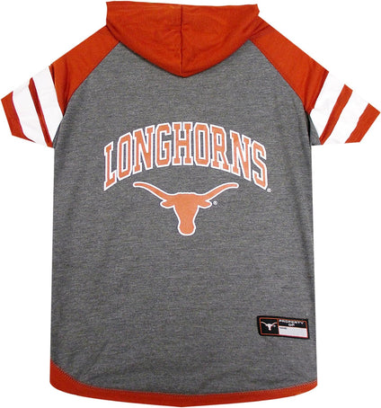 Texas Hoodie Tee Shirt