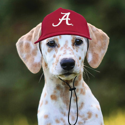 Alabama Pet Caps