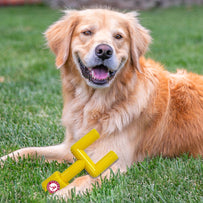 ALABAMA HARD NYLON GOAL POST CHEW TOY