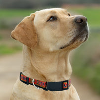 Anaheim Ducks Satin Collar