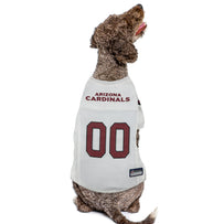 ARIZONA CARDINALS ROAD JERSEY