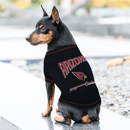 Arizona Cardinals Bold City Text Tee Shirt
