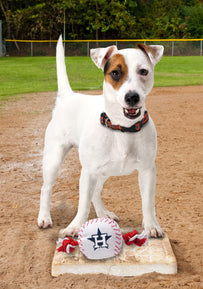 Houston Astros Nylon Baseball Rope Toy