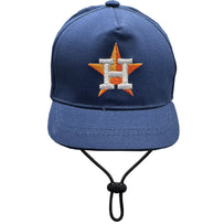 Houston  Astros Pet Caps