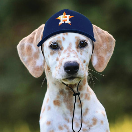 Houston  Astros Pet Caps