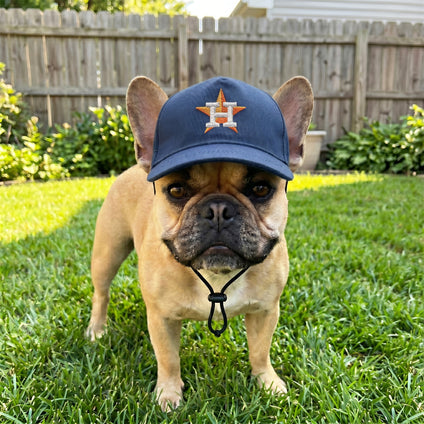Houston  Astros Pet Caps