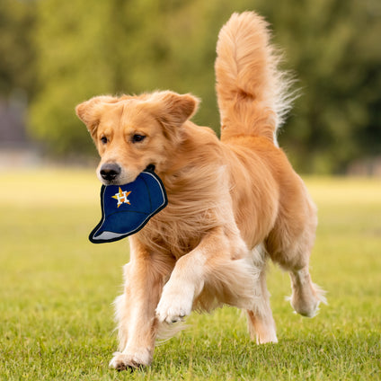Houston Astros Baseball Cap Tough Toy