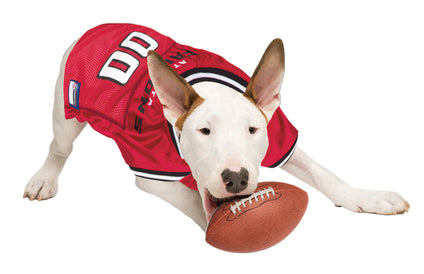 Atlanta Falcons Raglan Pet Jersey