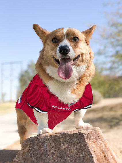Atlanta Falcons Raglan Pet Jersey