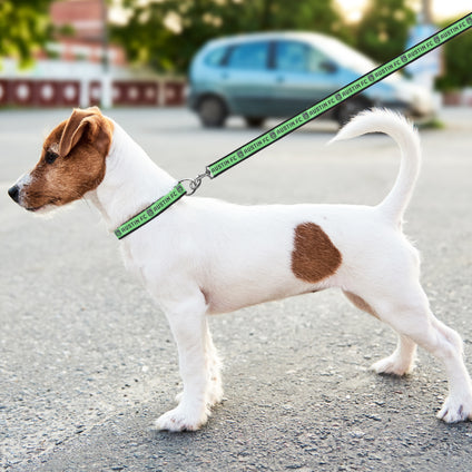 Austin FC Satin Ribbon Leash