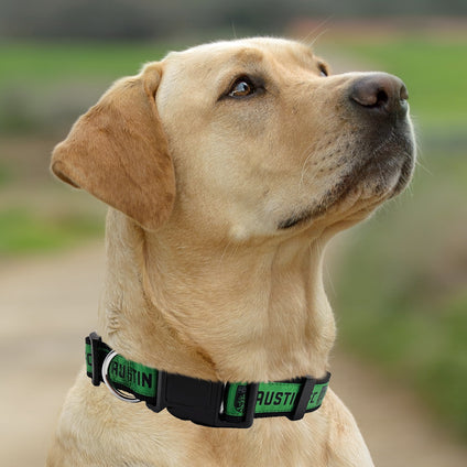 Austin FC Satin Collar