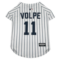 Anthony Volpe Pet Jersey (Yan)