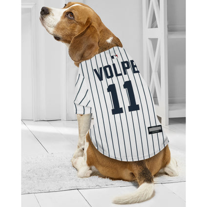 Anthony Volpe Pet Jersey (Yan)