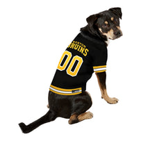 Boston Bruins Pet Jersey