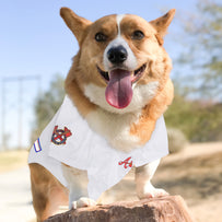 Atlanta Braves Pet Jersey