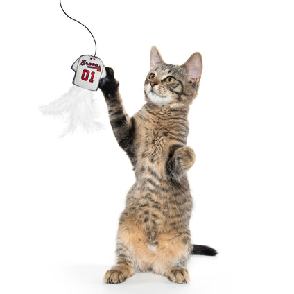 ATLANTA BRAVES TEAM JERSEY WAND WITH CAT NIP