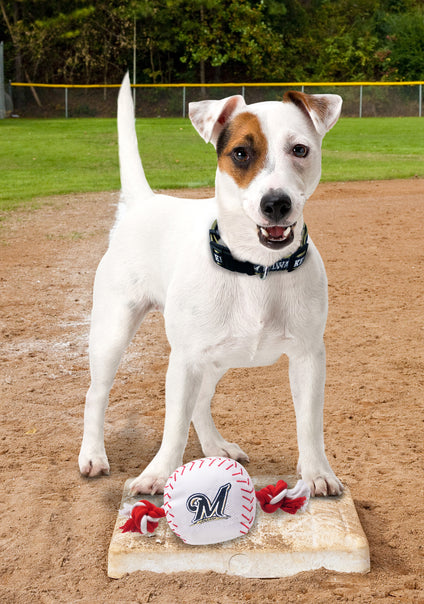 Milwaukee Brewers Nylon Baseball Rope Toy