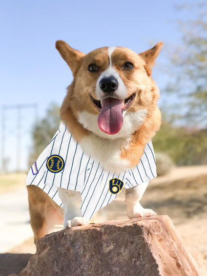 Milwaukee Brewers Pet Jersey