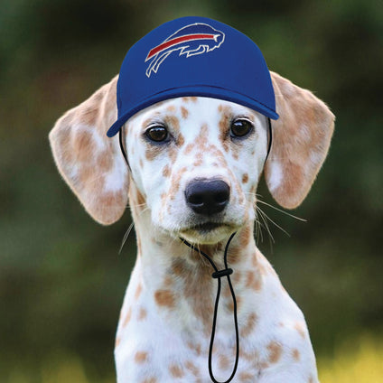 Buffalo Bills  Pet Caps