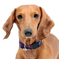 Buffalo Bills Zubaz Collar
