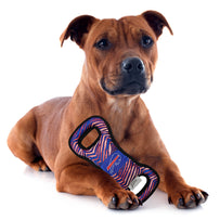 Buffalo Bills Zubaz Pull Toy