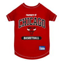 Chicago Bulls Tee Shirt