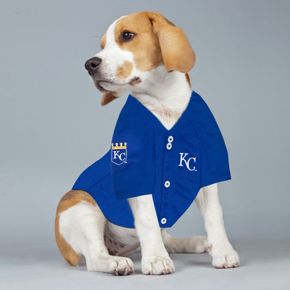 Bobby Witt Jr Player Jersey (ROY)