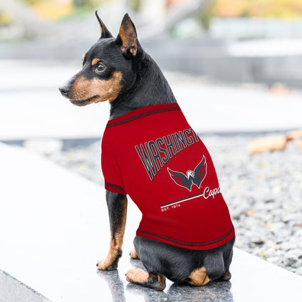 Washington Capitals Bold City Text Tee Shirt