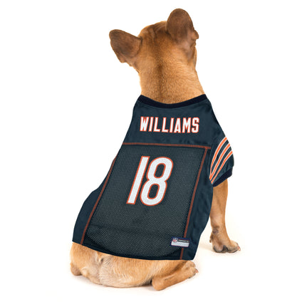 Caleb Williams Pet Striped Jersey (CHI)