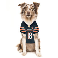 Caleb Williams Pet Striped Jersey (CHI)