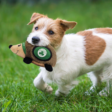 BOSTON CELTICS PLUSH HEDGEHOG TOY