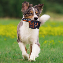 Chicago Bears #1 Fan Toy