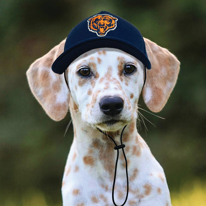 Chicago Bears  Pet Caps