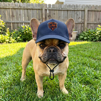 Chicago Bears  Pet Caps